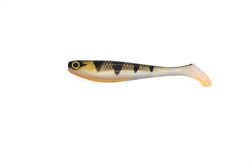 FishUP Wizzle Shad #355 - Golden Pearch.jpg