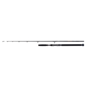 SHIMANO Beastmaster Catfish Vertic 1,85m 200g 1+1