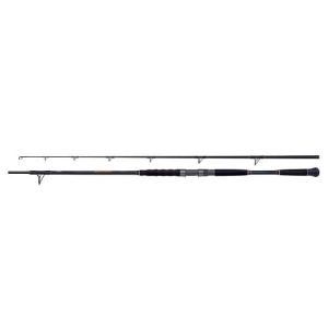 SHIMANO Beastmaster Návnada na sumce 2,40m 120g 2cz S