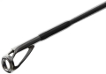 Favorite Black Swan 2.jpg