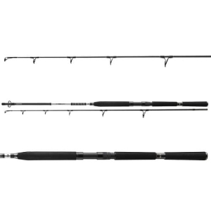 Daiwa BG Offshore Pilk 2,70m 50-165g 2cz S