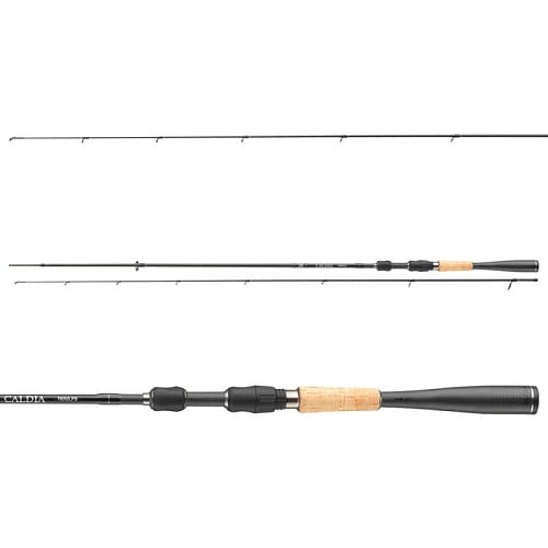 Daiwa Caldia Sensor Spin..jpg