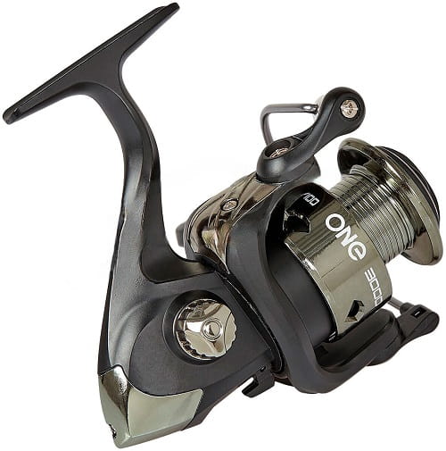 /environment/cache/images/productGfx_110074_700_700/Favorite-X-Fish-One.2.jpg