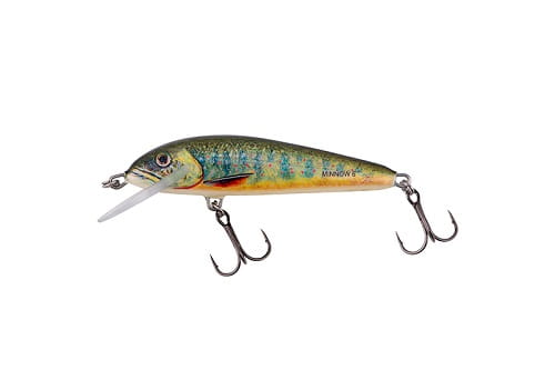 SALMO MINNOW Floating LAKE CHARR.jpg