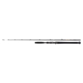 SHIMANO Beastmaster AX Catfish Vert 1,85m 200g 1+1.jpg