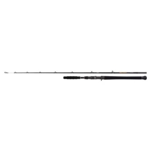 SHIMANO Beastmaster AX Catfish Vert 1,85m 200g 1+1