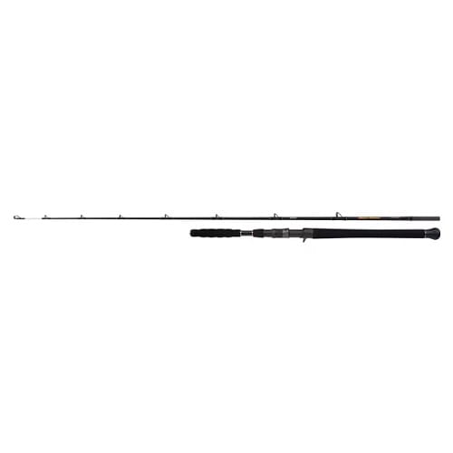 /environment/cache/images/productGfx_116843_700_700/SHIMANO-Beastmaster-AX-Catfish-Vert-1%2C85m-200g-1-1.jpg