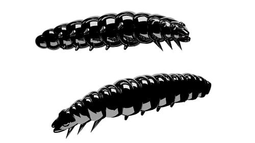 Libra Lures Larva Kol.40.jpg