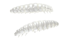 Libra Lures Larva 30mm Krill Kol.4 15ks
