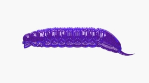 Libra Lures GOLIATH 30mm krill Col.20 15ks