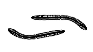 Libra Lures FATTY D'WORM 55mm Cheese Col.40 12ks