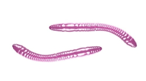 Libra Lures FATTY D'WORM 55mm Cheese Col.18 12ks