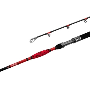 Delphin Danger CatFish 2,85m 350g 2cz S