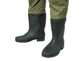Wodery Delphin CLASSA.1.jpg