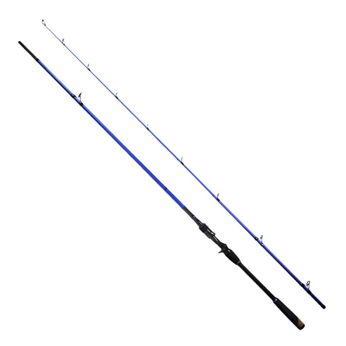 Rod-H2-CAST-01 Gł.jpg