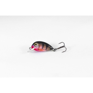Hunter Bullet 25mm 2,2g Col.RP S