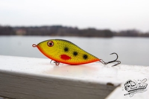 Kashub-Bait Jerk Danire 15 ZTB