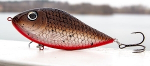 Kashub-Bait Jerk Danire 6 BR 15G S