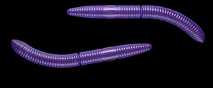 Libra Lures Fatty D'Worm 65mm Cheese Col.20 10ks