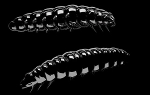 Libra Lures Larva 45mm Krill Col.040 8ks