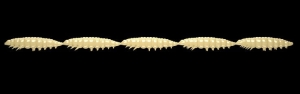Libra Lures Larva Multi 005 Cheese Cheese 25ks