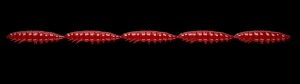 Libra Lures Larva Multi 021 Red Cheese 25ks
