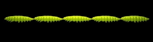 Libra Lures Larva Multi 027 Apple Green Chee 25ks
