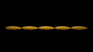 Libra Lures Larva Multi 036 Coffee Milk Krill25ks