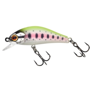 GUNKI Rodan 40 SHW UV Chart Trout