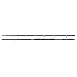 Prut Jaxon Zaffira Catfish RT 2,70 m do 550 g 2 s