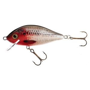 Jaxon Karś wobbler 9cm F 17g RB