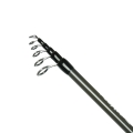 Wędka Robinson Flexcore Tele Roach 3,30m 10-30g123.jpg