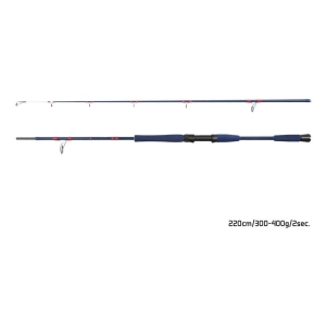 Delphin FYORD BigBOAT 220cm 300-400g 2cz S