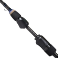 Rod-H2-SPIN-01.jpg