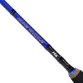 Rod-H2-SPIN-05 (1).jpg
