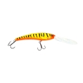 orange tiger.jpg