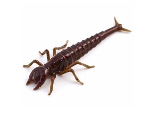 FishUP Potápěčský brouk 5cm #050 Zelená dýně Hnědá Červená Fialová 8ks