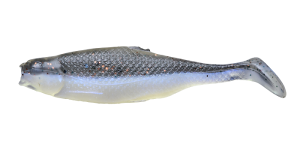 Realistic Shad FAT 7cm P7 029 10ks