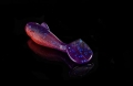 OH4-L682a.jpg