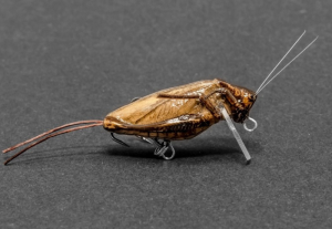 Wobler IMAGO LURES Hopper 3,5cm F 2,2g LBDB.