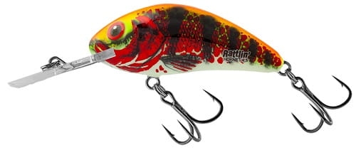 Salmo Rattlin Hornet Shallow 3,5cm Holo Red Perch.jpg