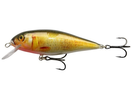 Wobler Kenart Falcon Shallow 8 NG.jpg