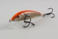 20220308_121643.jpg