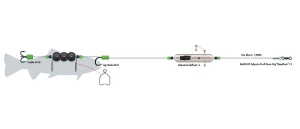 MADCAT Catfish System ADjusta Dead Bait S/20g