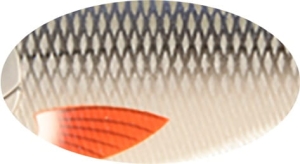 BUSTER V 8,5 cm 17,7 g C384F Potápěcí