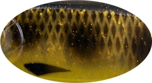 BUSTER V 8,5 cm 17,7 g C713G potápěcí