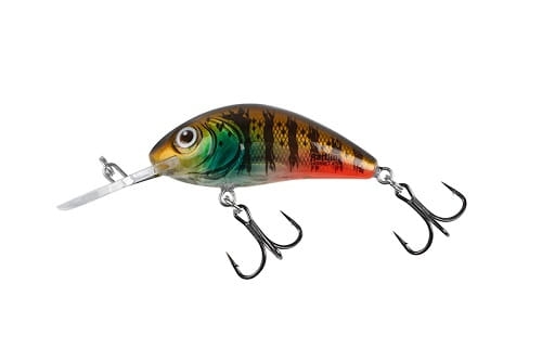 SALMO RATTLIN' HORNET 3,5cm 3,1g Clear Hot Gill F.jpg