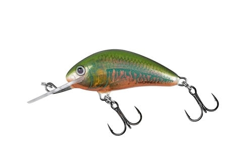 SALMO HORNET 5cm 7g Holo Oikawa FL.jpg