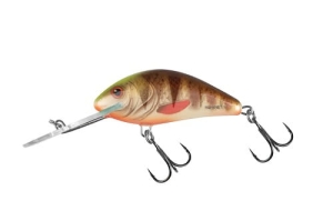 SALMO HORNET 6cm 10g okoun hnědý skvrnitý FL