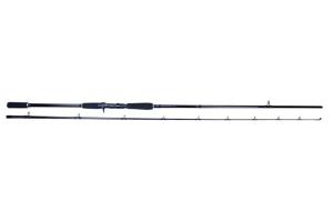 SZ Black Series "The Horizon" 9´ 40-200g Casting